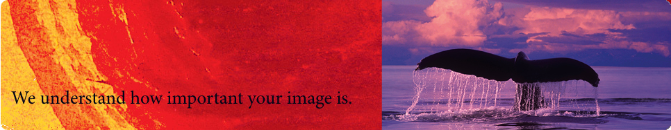 Printing for the South Shore Massachusetts and Cape Cod